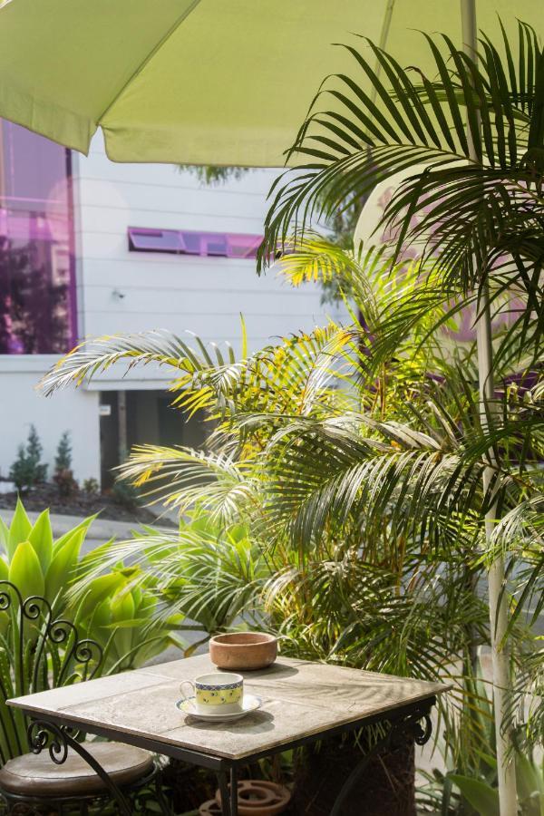 Hostel Spring City Меделин Екстериор снимка